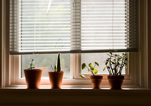 venetian blinds img